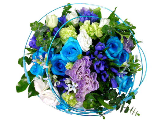 The Blue Paradise - Better shame ���� �ɹ��