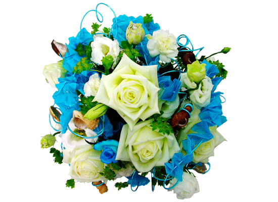 The Blue Paradise - If I could ���� �ɹ��