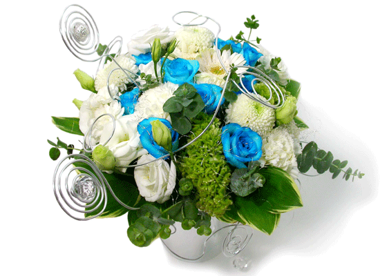 The Blue Paradise - Staple it together ���� �ɹ��