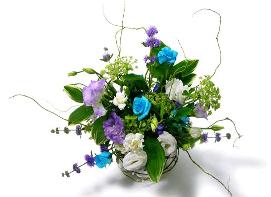 The Blue Paradise - Belle ���� �ɹ��