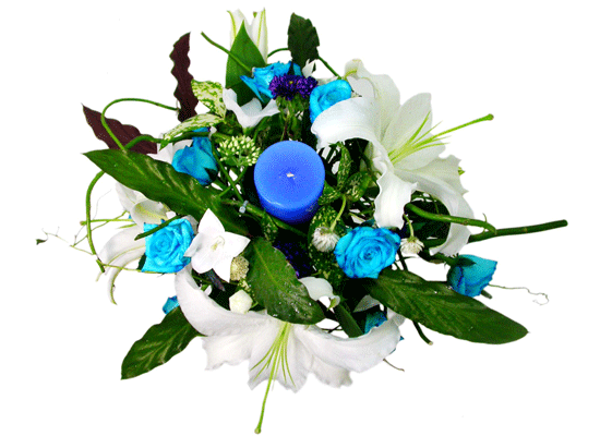 The Blue Paradise - Never know ���� �ɹ��