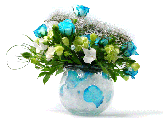 The Blue Paradise - Better together ���� �ɹ��