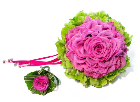 ��ȥ�ؿ� - �������� ���� �ɹ��