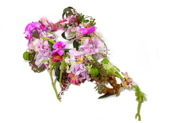 ��ȥ�ؿ� - �ູ�� ���� ���� �ɹ��