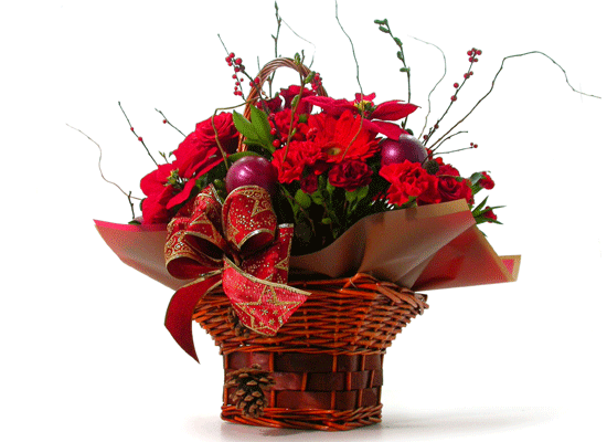 [] Happy Christmas - ̷  ɹ