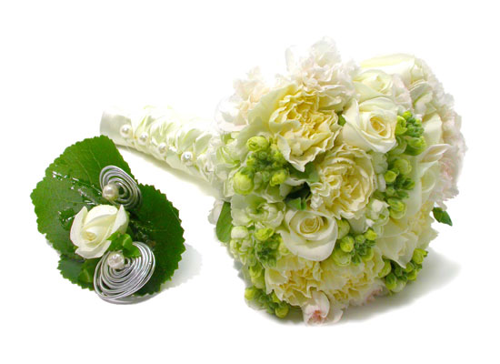 �Ͼᴫ���� ������ �ʸ� ����� ���� �ɹ��