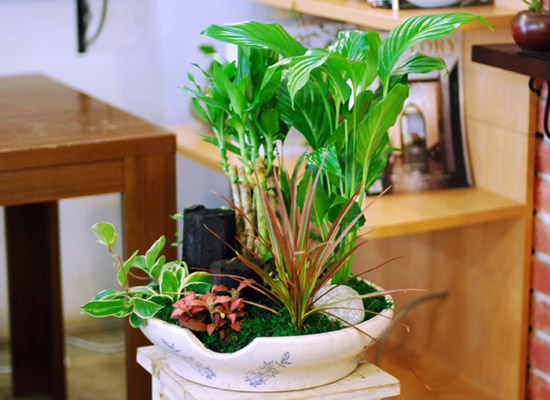 �츮�� ���� ���� �ɹ��