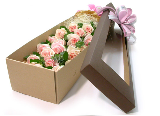 Trend box - ּҼ  ɹ