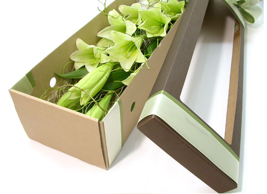 Trend box - pure story  ɹ