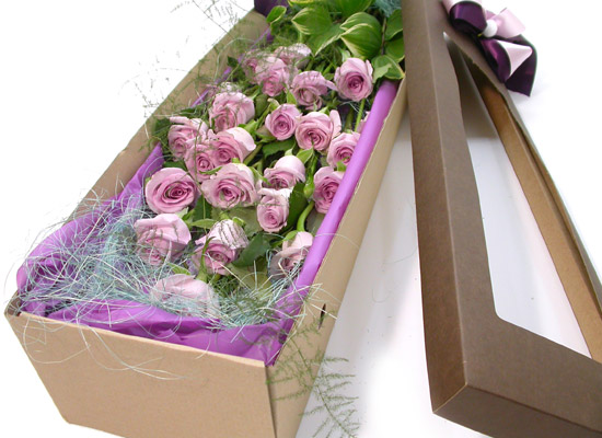 Trend box - Vogue Girl.  ɹ