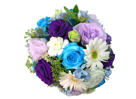 ����ƽ ���� - Indigoblue ���� �ɹ��