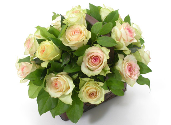 []flowery fiction -   ɹ