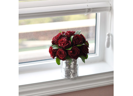 []All that rose - Roxie  ɹ
