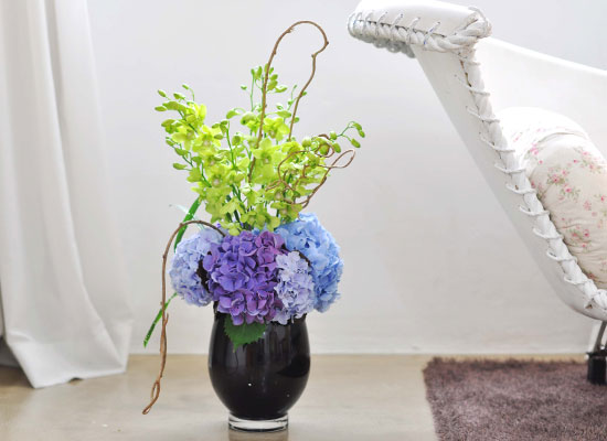 [������] Retro Mono - Versatile ���� �ɹ��