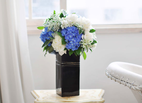 [] Retro Mono - Baroque and Blue  ɹ