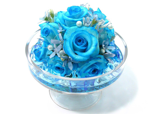 []ƽ  - Lightblue  ɹ