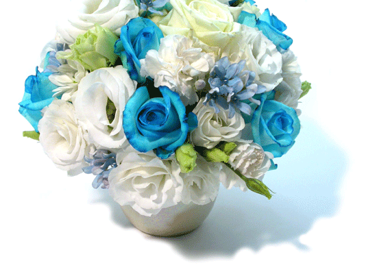 []Blue Daiana(̾Ƴ)  ɹ