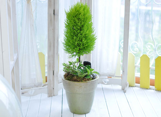 [�����ǹ��]������ ���� �� - ����(��) ���� �ɹ��