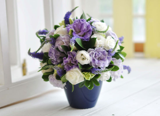 []Lovely lover - Purple veronica  ɹ