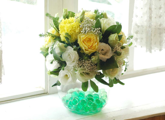 []Lovely lover - Green bubble  ɹ