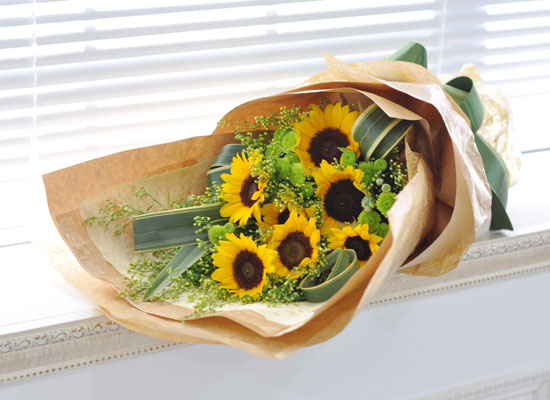 Sunny day - Sunny flower  ɹ