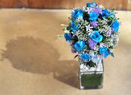 []That's cool - Blue topiary  ɹ