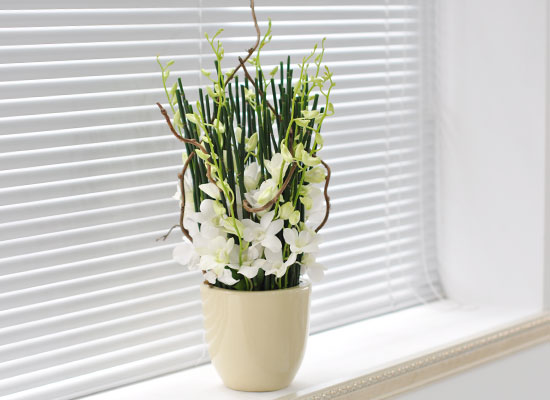 [������] Chic feminine2 - Green Sky ���� �ɹ��