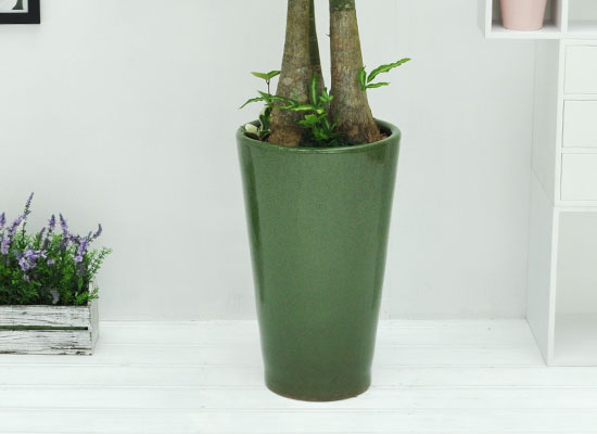 ������õ �������� - ���� ��Ű��A ���� �ɹ��