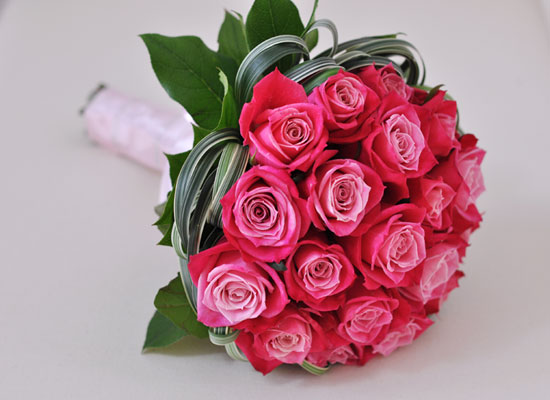 Rose & Smart pink  ɹ