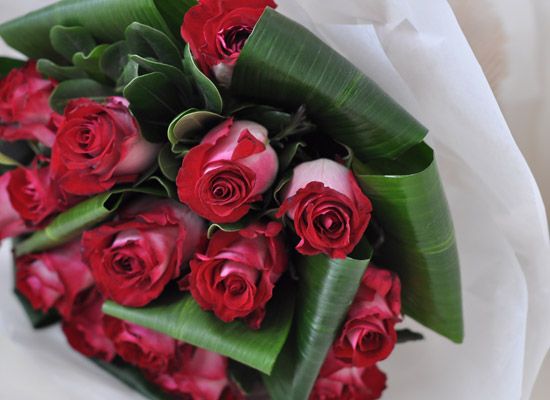 Rose & ũ����Ż ���� ���� �ɹ��