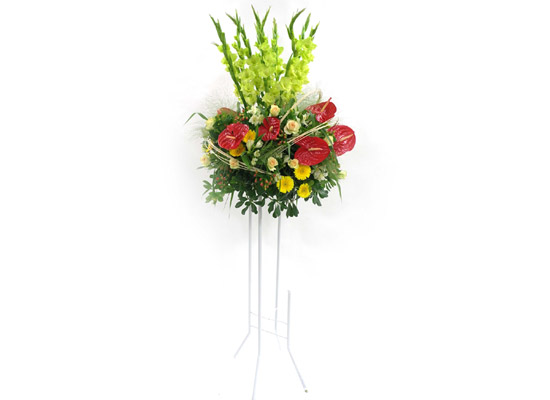 [플라워119 디자인화환] 레드포인트 축하화환 꽃집 꽃배달