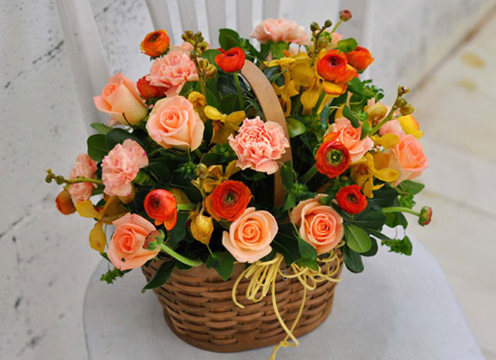 [] ŭ ܿ  - Happy winter orange  ɹ