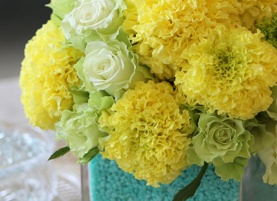 [] Beautiful colors - Mint Marigold  ɹ