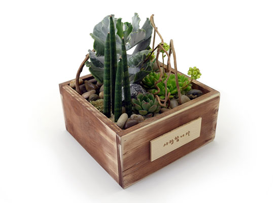 [] Office & Nature - Natural Garden(ȭǰ ٸȭ ü)  ɹ