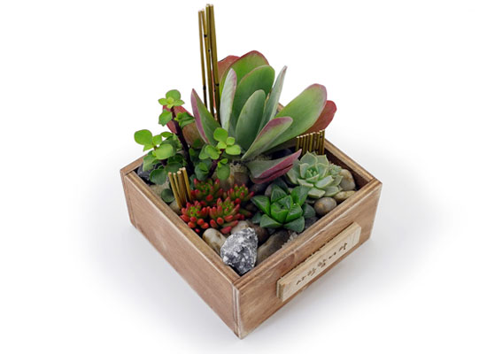 [] Office & Nature - Plant Garden  ɹ