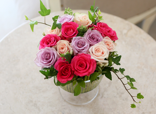 [] Beautiful colors - Sweety Rose  ɹ