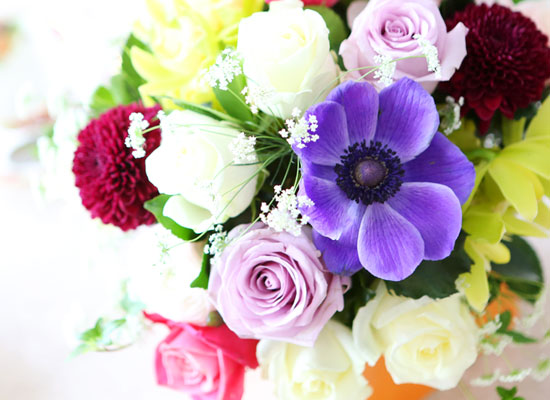 [] Spring & Sweet - ʸ(ȭ   ֽϴ)  ɹ