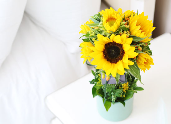 sunflower - sunflower topiary (*일부지역 화기변동) 꽃집 꽃배달