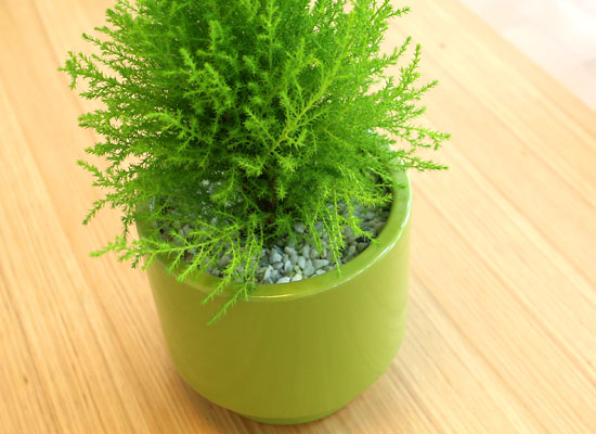 []Table deco. ׸ȭ  (*ȭ⺯)  ɹ