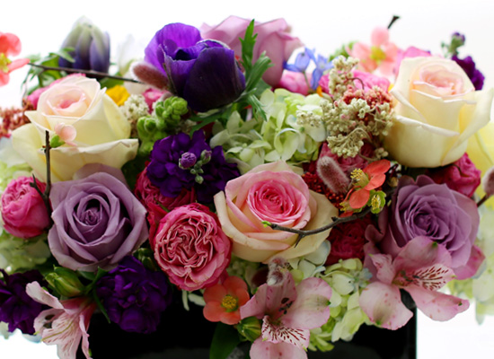 Natural spring flowers - ���� ��ũ�� ���� �ɹ��