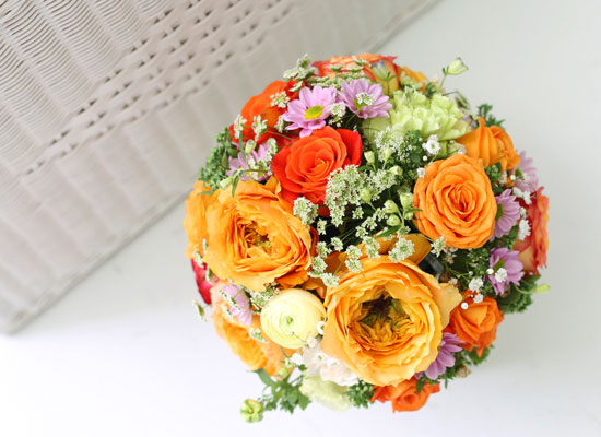 Rose Day - Orange Cercle  ɹ