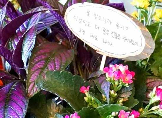 [ȭĹ]Garden gift basket -  It's always a good time!- ü  ɹ