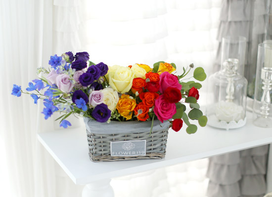 Spring&Sweet- Section RAINBOW 2  ɹ
