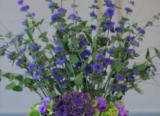 14 Fall  Flower Arrangements Blooming With - The calamint  ɹ