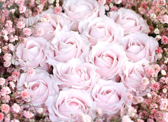 lovely pastel-fall in love  ɹ