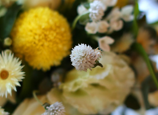 ��,�ɵ��� ����  Spring is here ���� �ɹ��