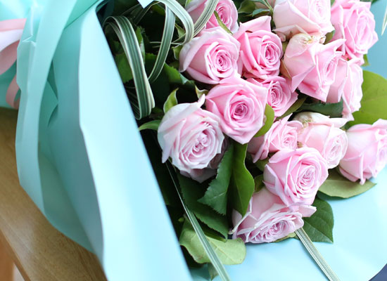    -̲ɴٹ Roses are pink  ɹ