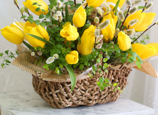 [ ǹ]Spring & sweet Tulips  ɹ