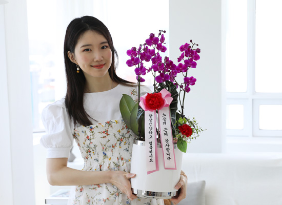 [전국]존경하는 마음 담아 - 꽃분홍색의 만천홍 (중) 꽃집 꽃배달