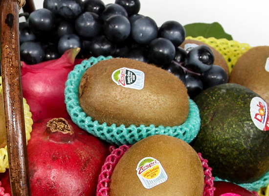 Love Fruit Basket - ߷õ Ϲٱ [ö119-9ȣ]  ɹ